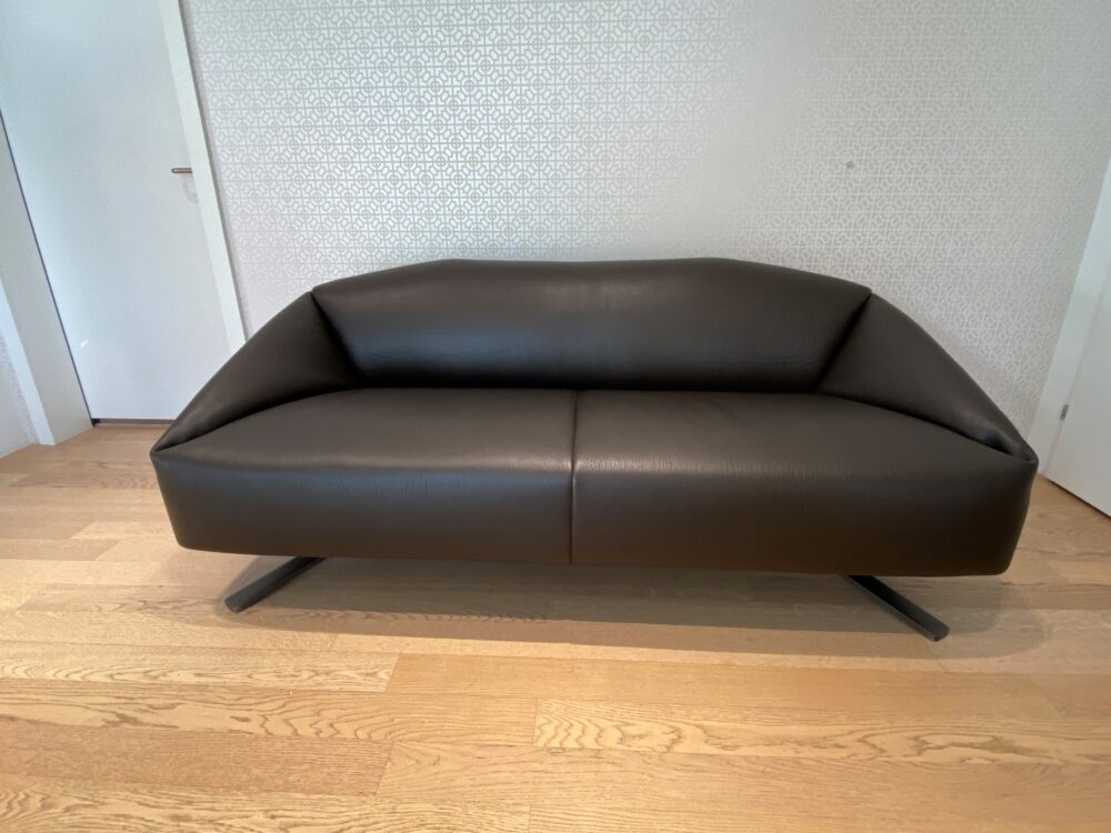 ScheuberAG_Desede_Modell DS0373 (1)