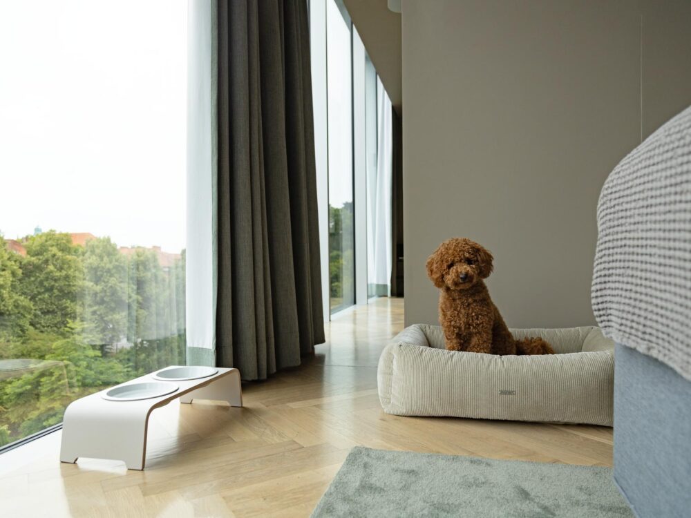 1.Scheuber_Buciano_Mauritzhof_Birdy_09